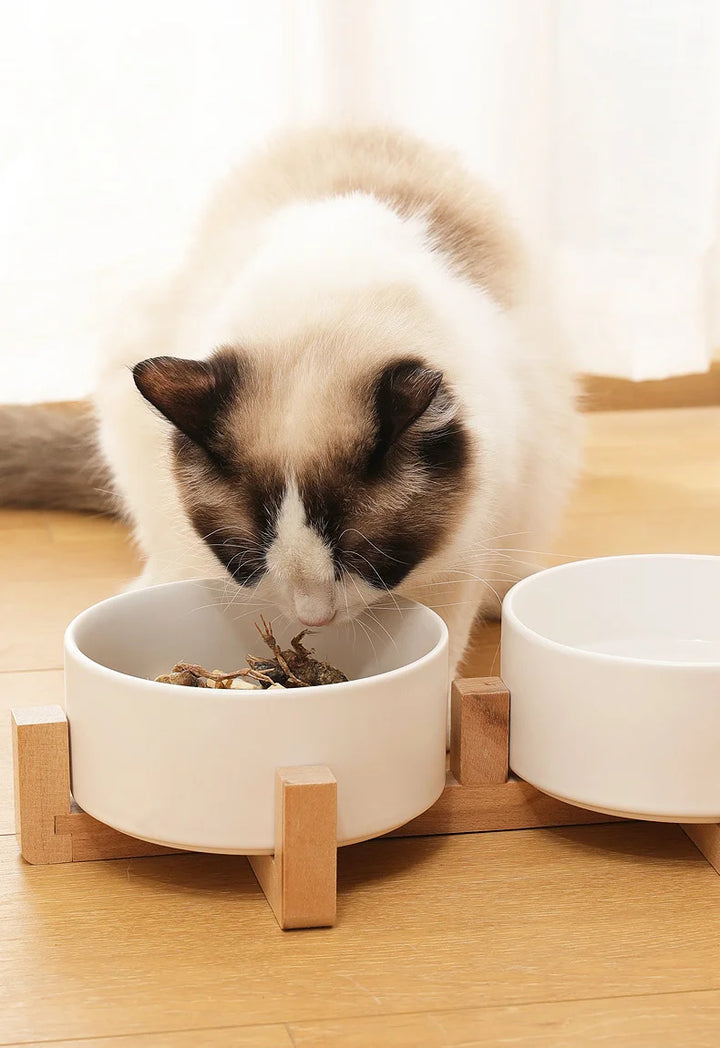 Pet  Ceramics Double Food Water Bowls