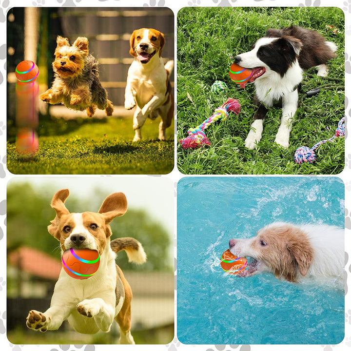 Interactive Pet Rolling Toy