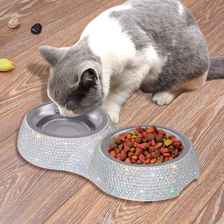 Stainless Steel Double Pet Food Bowl