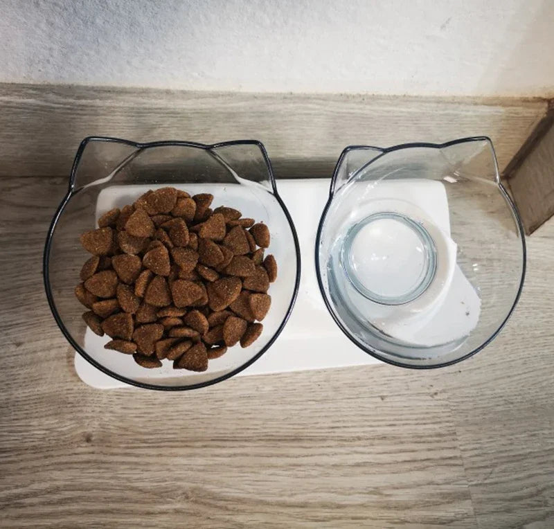 Double Cat and Dog Bowl