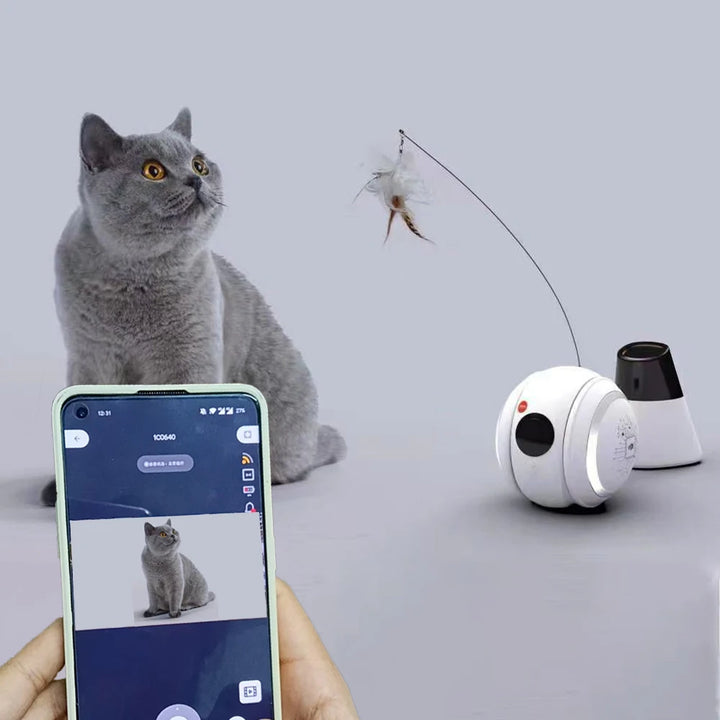 Automatic Pet Toy