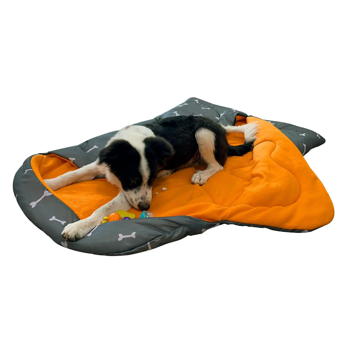 Dog Sleeping  Warm Blanket