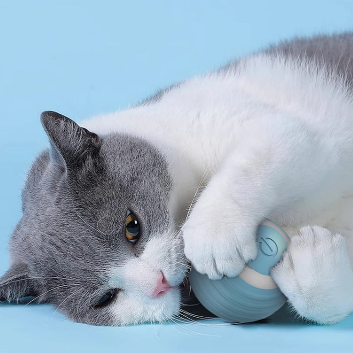Smart Rolling Ball Cat