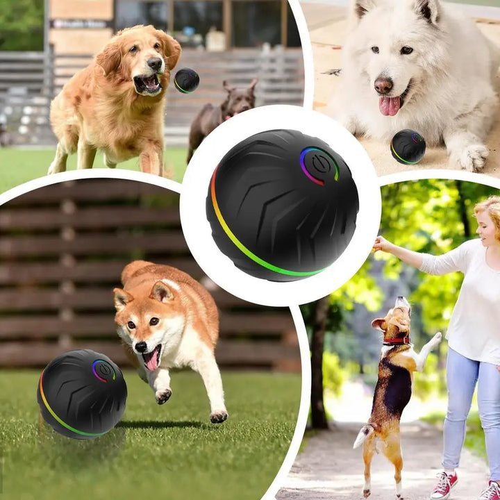 Active Rolling Ball For Pets