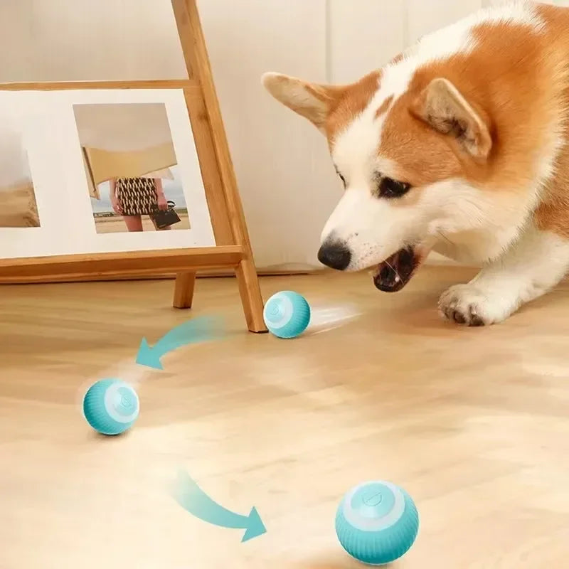 Pet Smart Rolling Toy