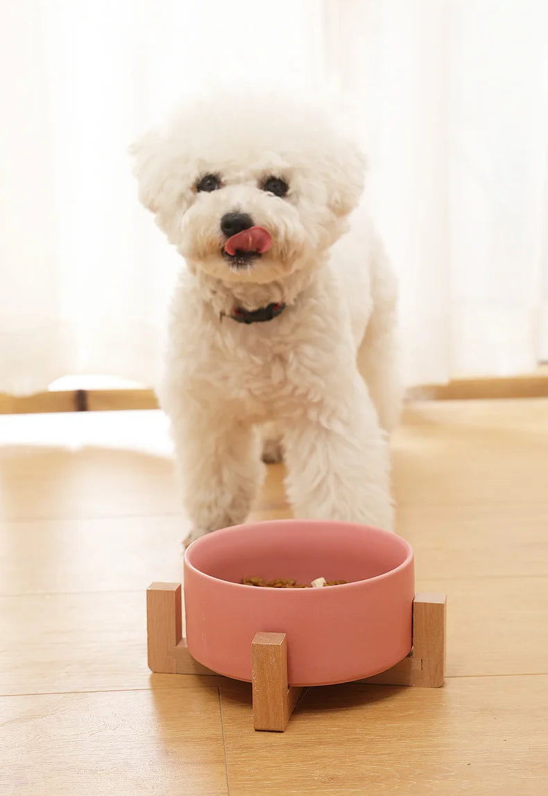 Pet  Ceramics Double Food Water Bowls