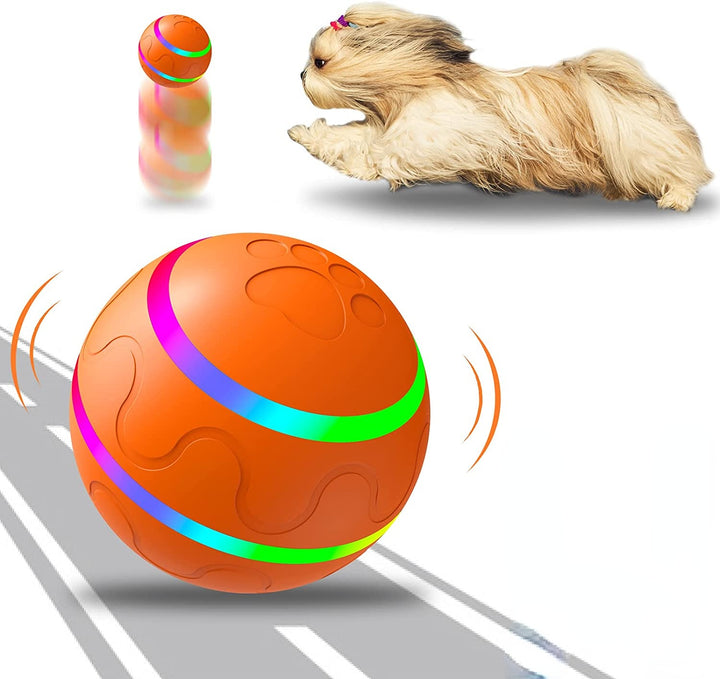 Interactive Pet Rolling Toy