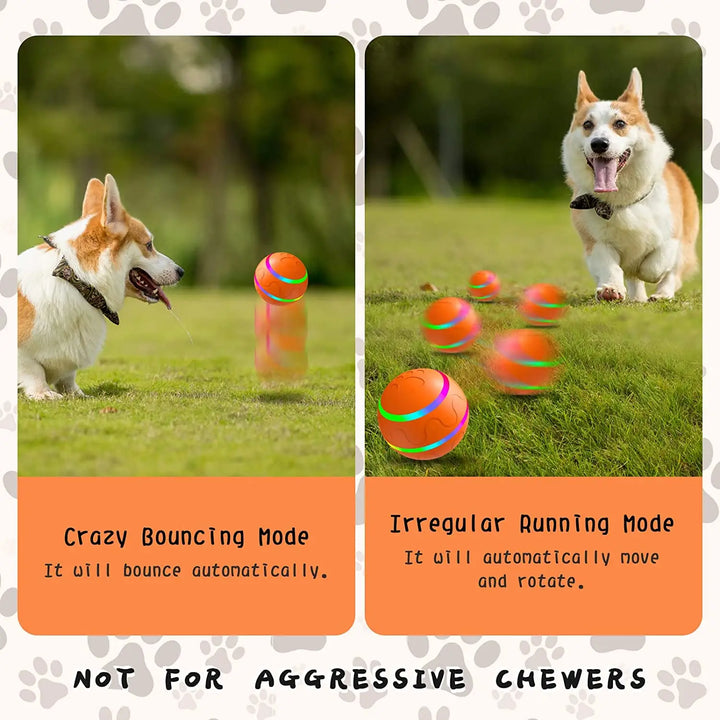 Interactive Pet Rolling Toy