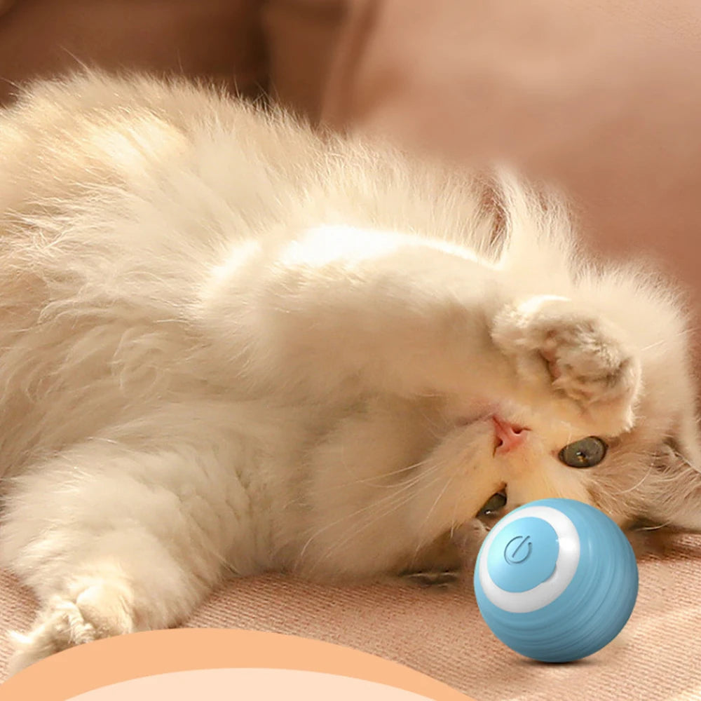 Smart Rolling Ball Cat