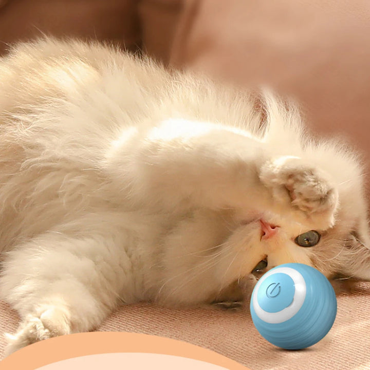 Smart Rolling Ball Cat