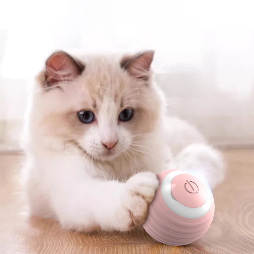 Smart Rolling Ball Cat