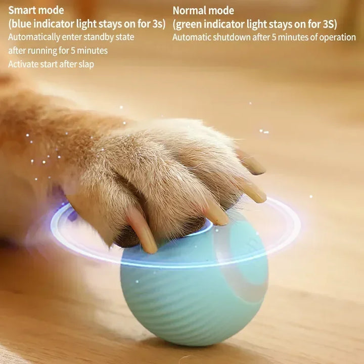 Pet Smart Rolling Toy