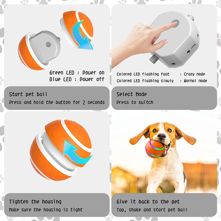 Interactive Pet Rolling Toy