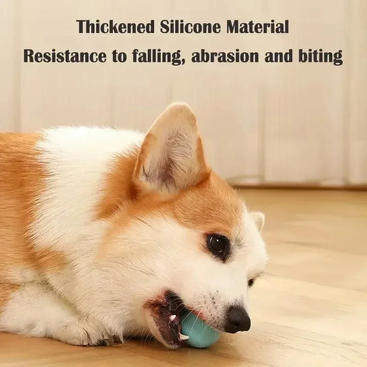 Pet Smart Rolling Toy