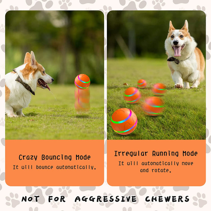 Interactive Pet Rolling Toy