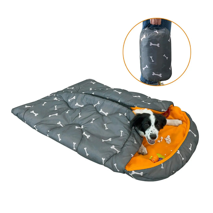 Dog Sleeping  Warm Blanket