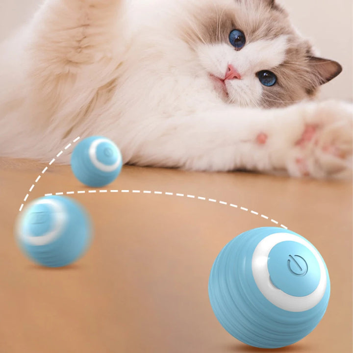 Smart Rolling Ball Cat