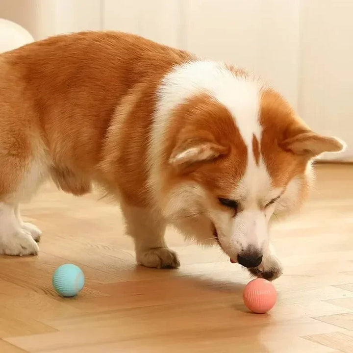 Pet Smart Rolling Toy