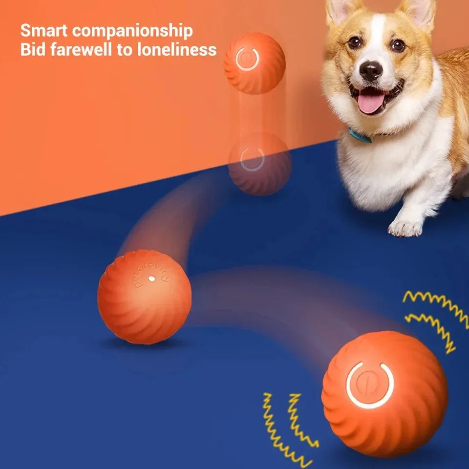 Interactive Pet Toy Moving Ball