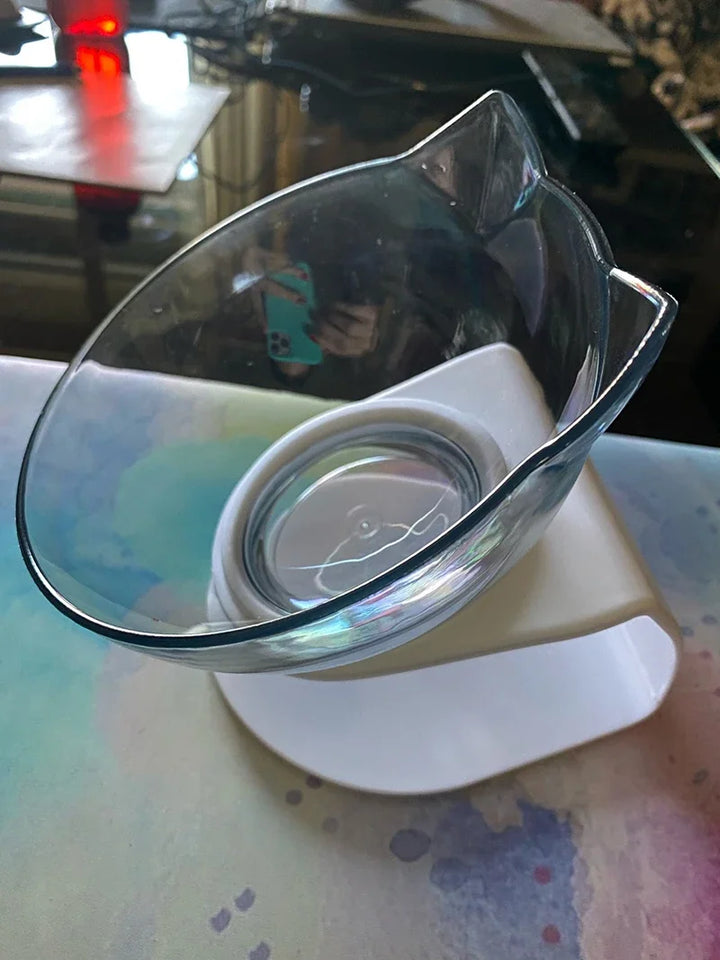 Double Cat and Dog Bowl