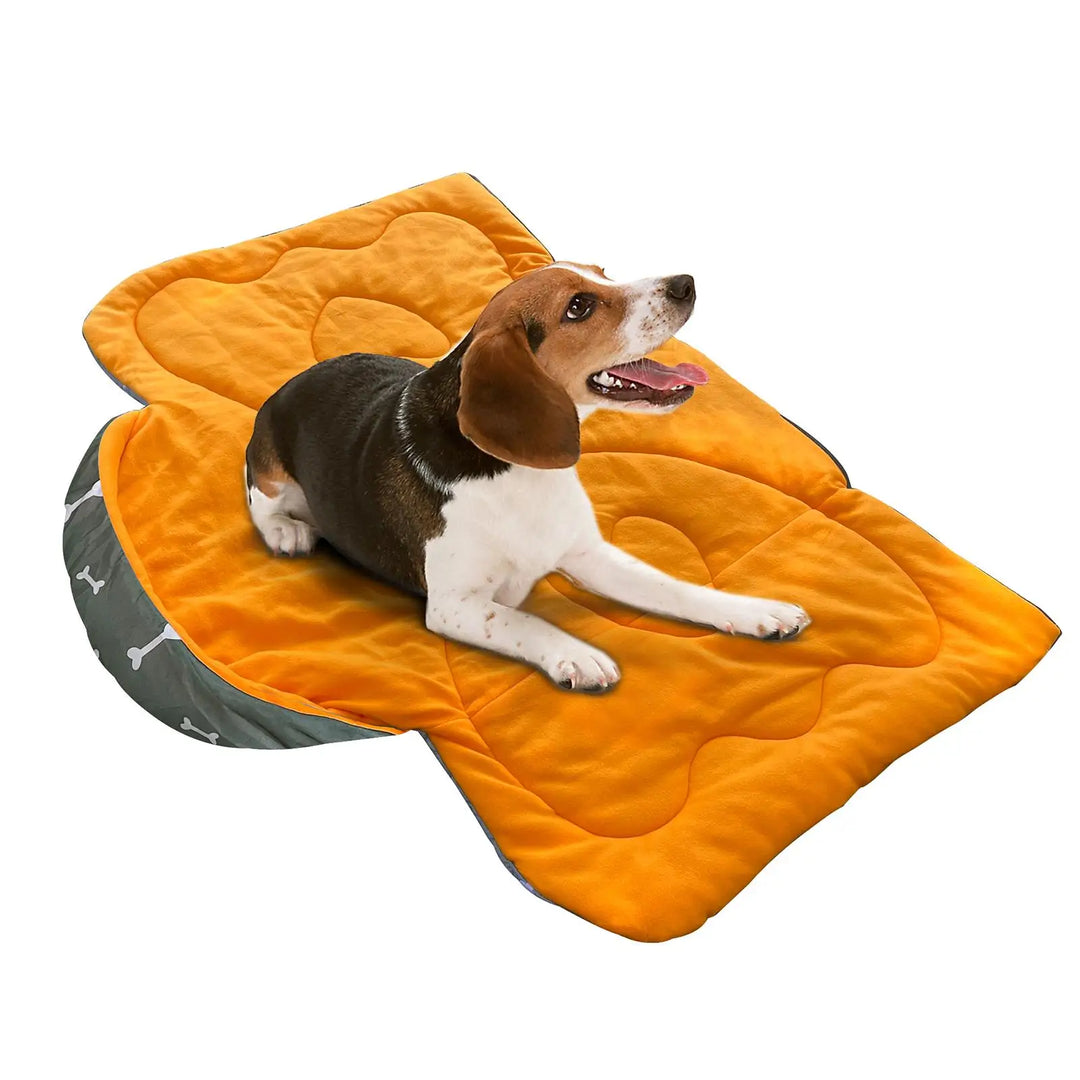 Dog Sleeping  Warm Blanket