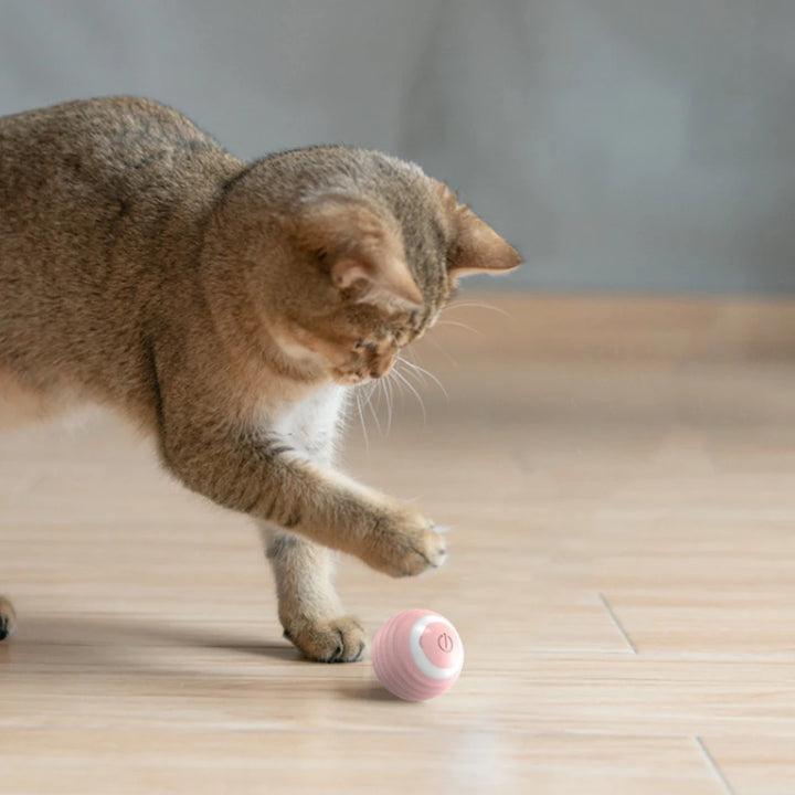 Smart Rolling Ball Cat