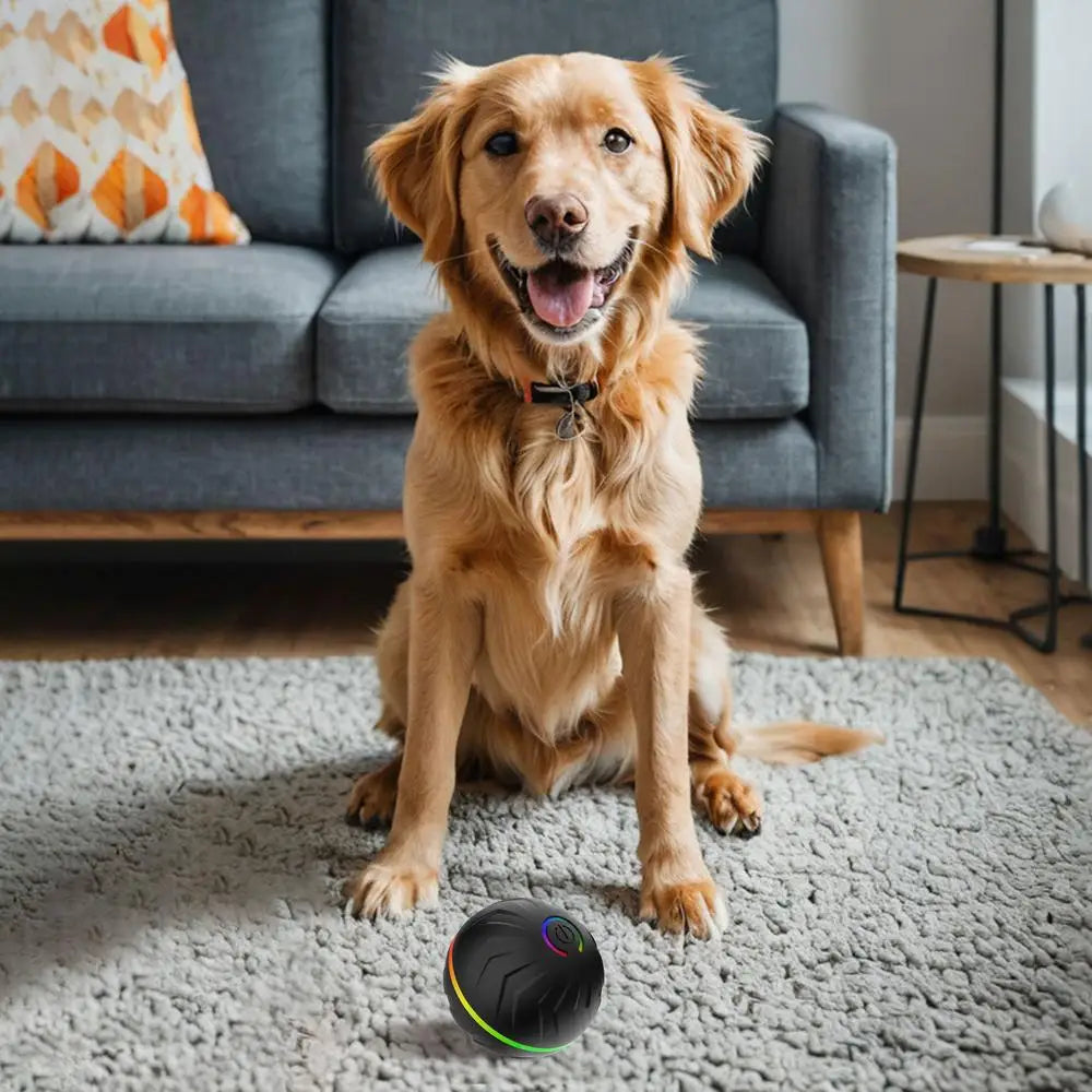 Active Rolling Ball For Pets