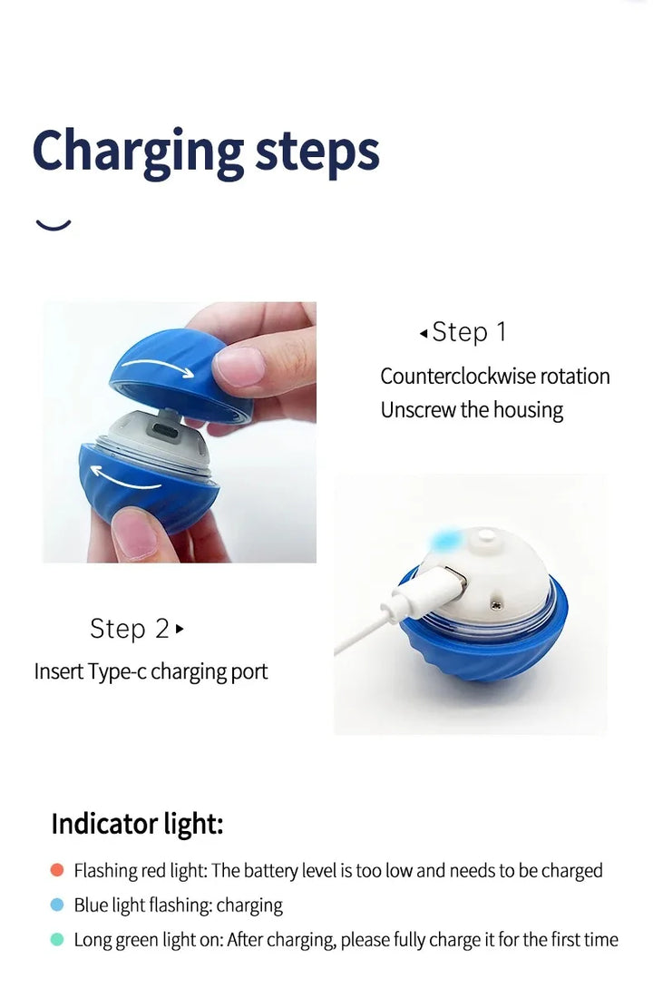 Interactive Pet Toy Moving Ball