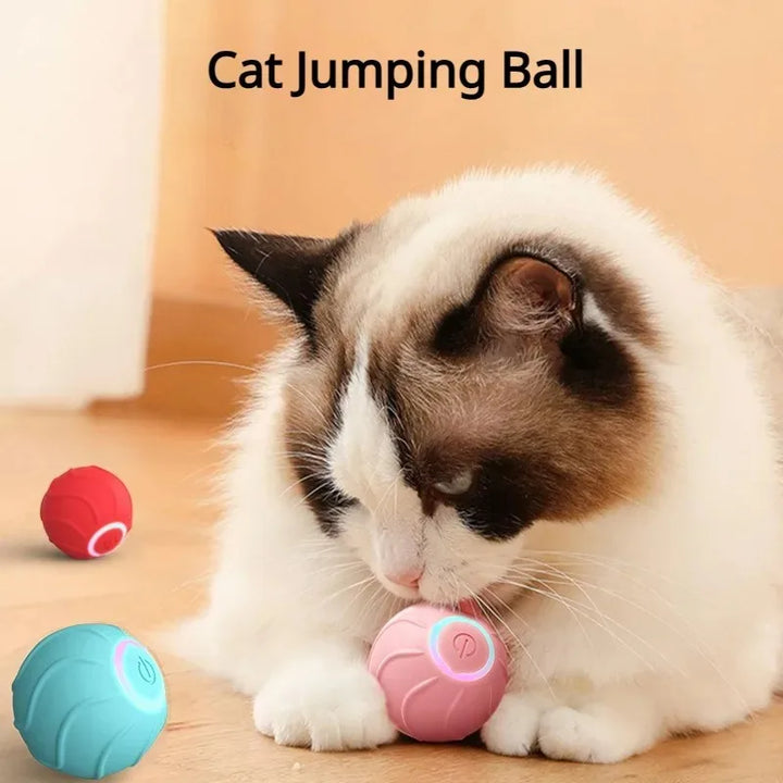 Smart Cat Pet Rolling Ball