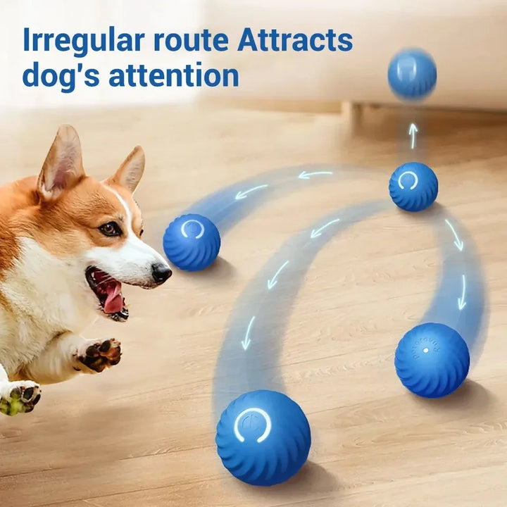 Interactive Pet Toy Moving Ball
