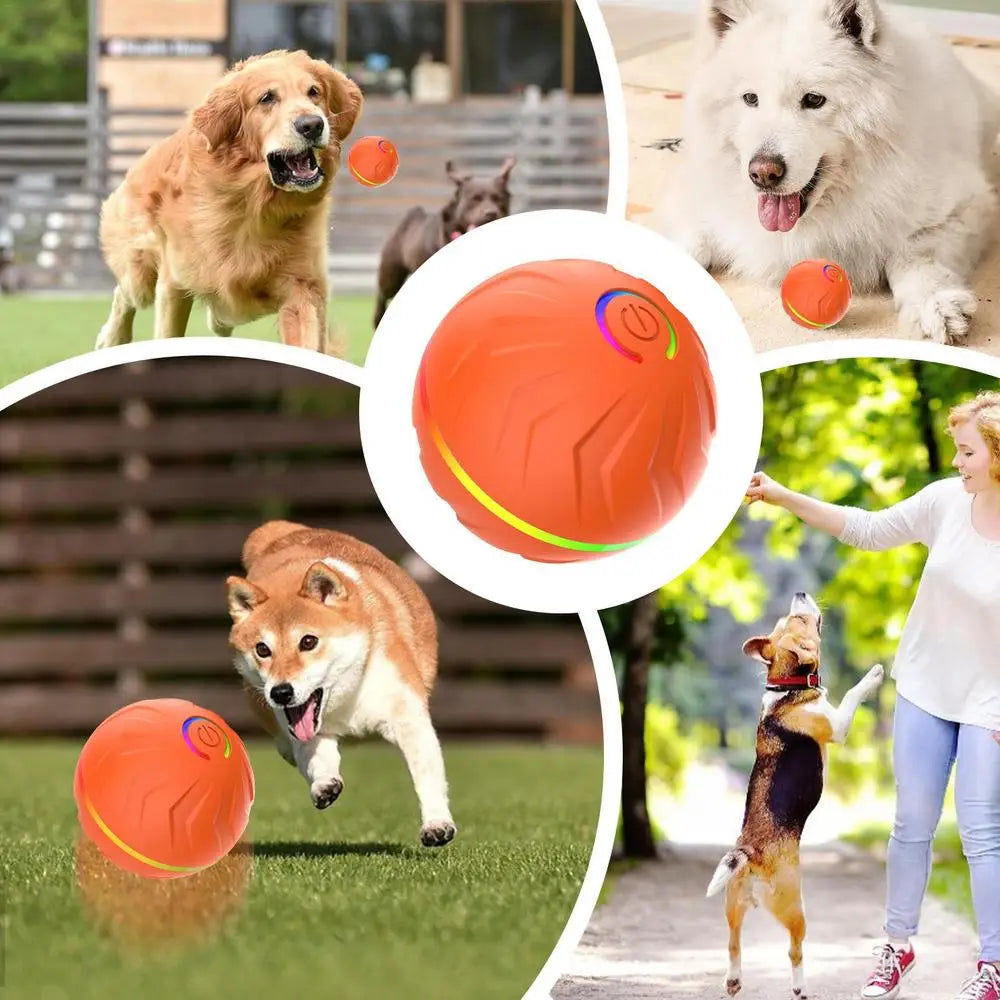 Active Rolling Ball For Pets