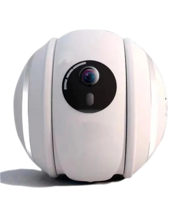 Automatic Pet Toy