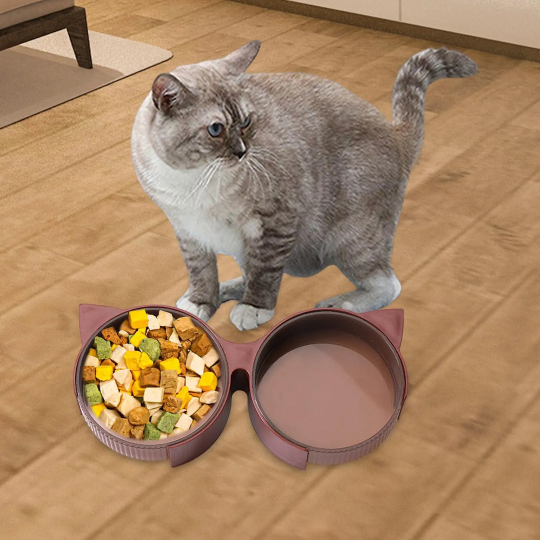 Cat Food and Water Bowl