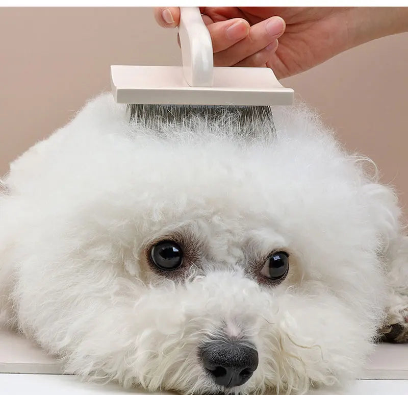 Pet Dog Hair Removal Comb