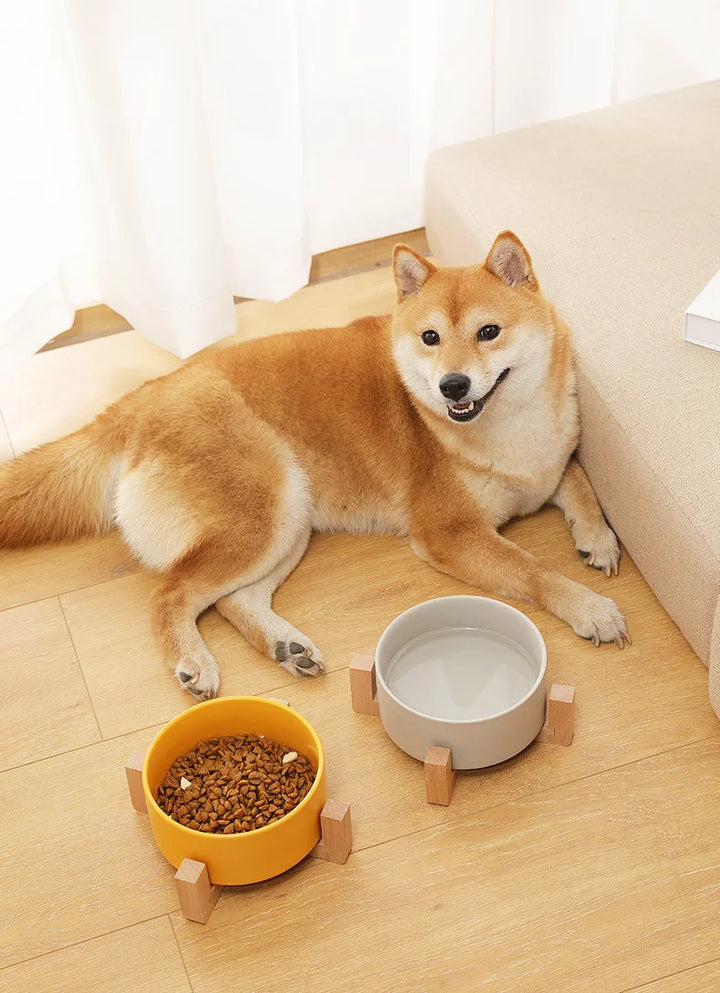 Pet  Ceramics Double Food Water Bowls