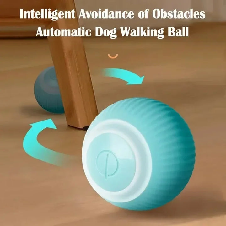 Pet Smart Rolling Toy