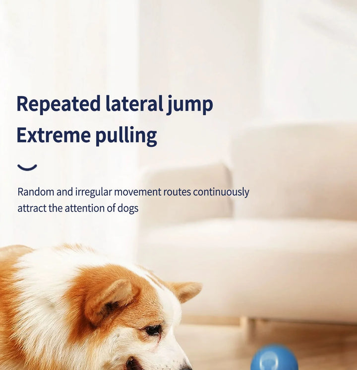 Interactive Pet Toy Moving Ball