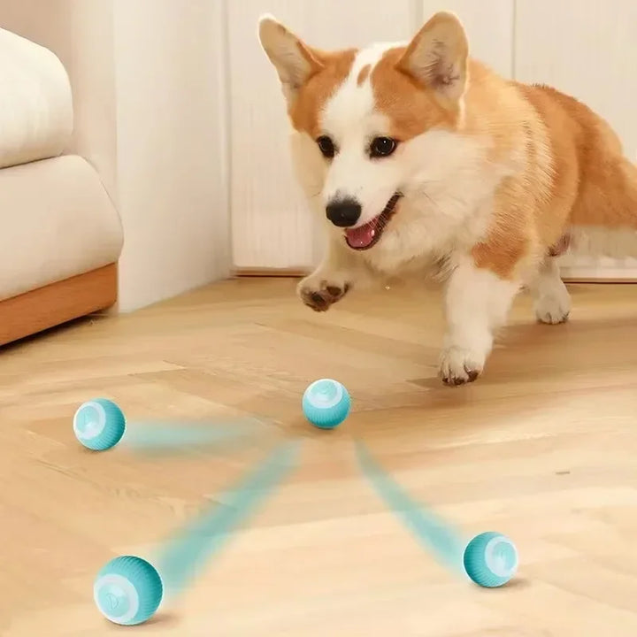 Pet Smart Rolling Toy