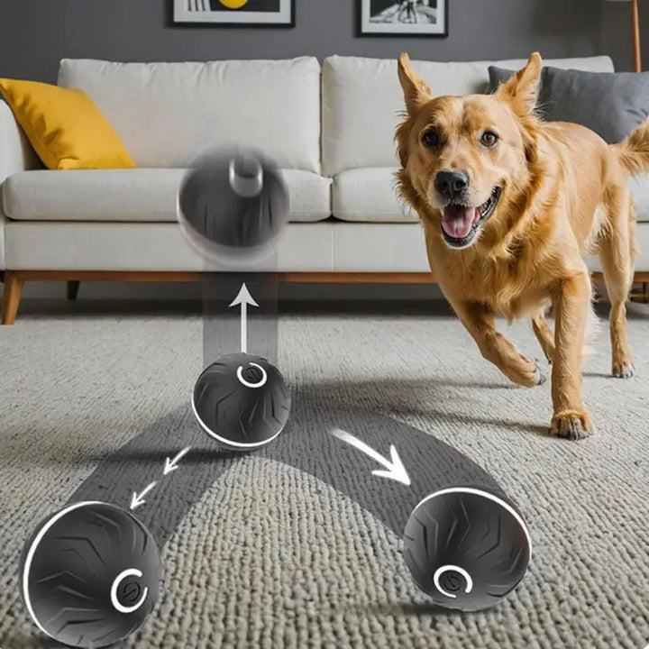 Active Rolling Ball For Pets