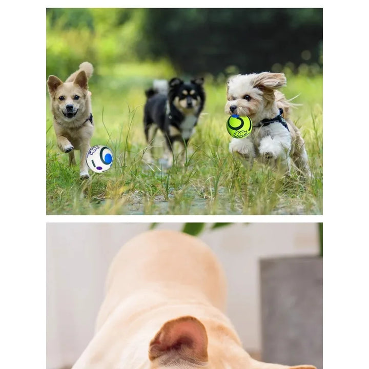 Dog toy  rolling bite resistant grinding teeth