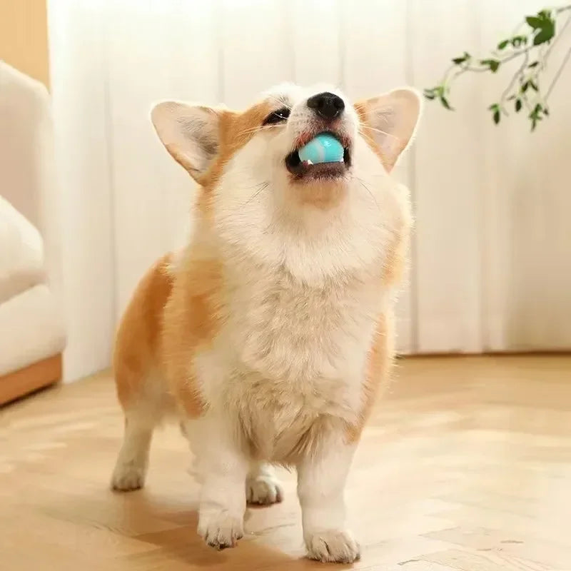 Pet Smart Rolling Toy