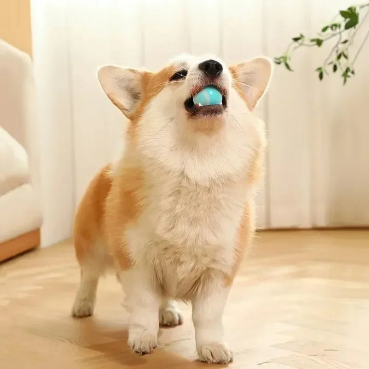 Pet Smart Rolling Toy