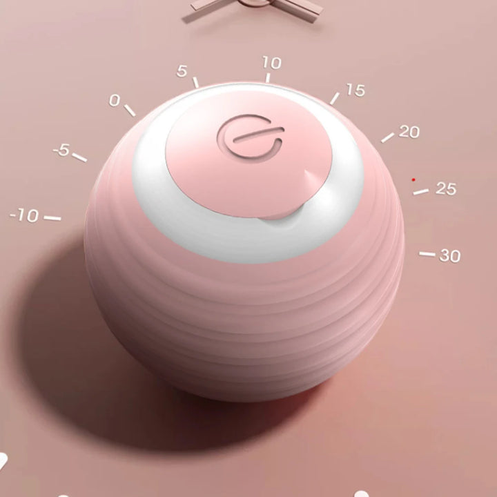 Smart Rolling Ball Cat