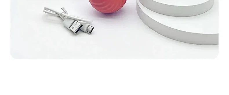 Interactive Pet Toy Moving Ball