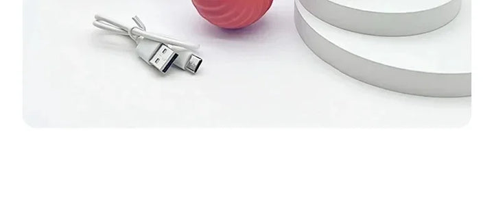 Interactive Pet Toy Moving Ball
