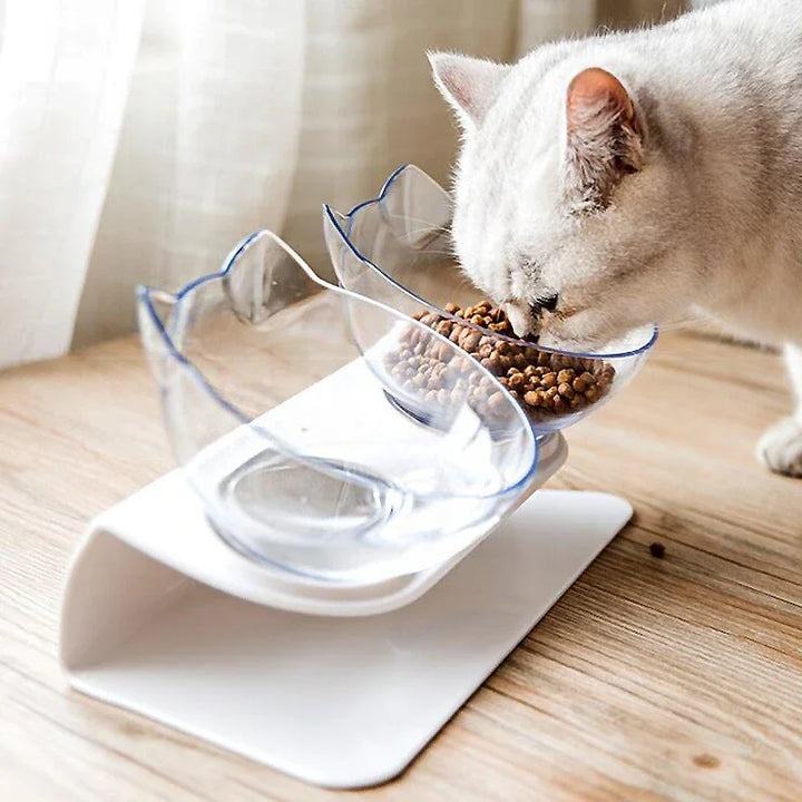 Double Cat and Dog Bowl